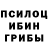 Псилоцибиновые грибы Cubensis Tyler Craghead