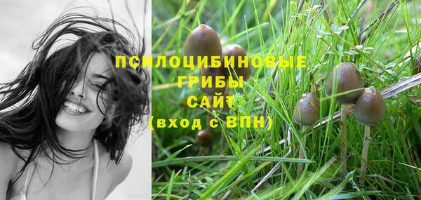 молекула духа Бронницы