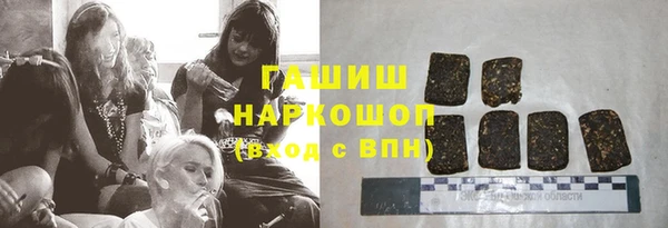 гидра Бородино