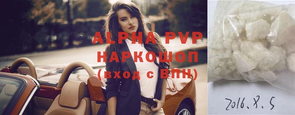гидра Бородино