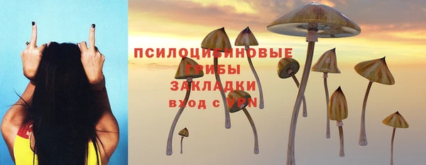 гидра Бородино