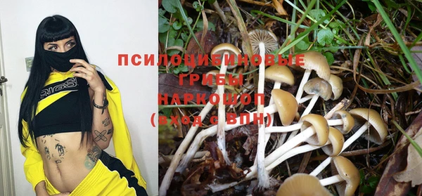 молекула духа Бронницы