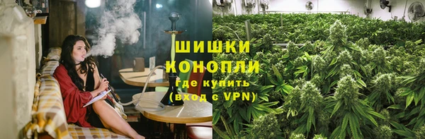 молекула духа Бронницы