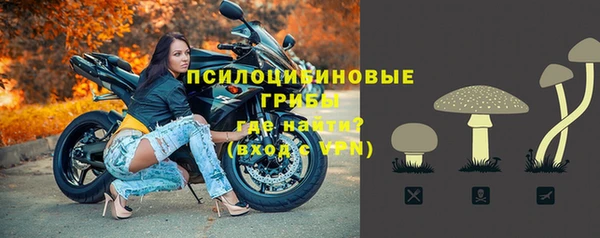 гидра Бородино