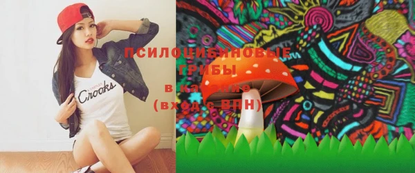 молекула духа Бронницы