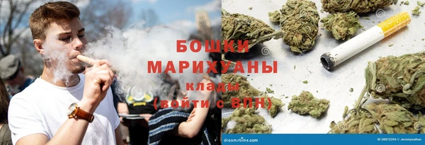 гидра Бородино