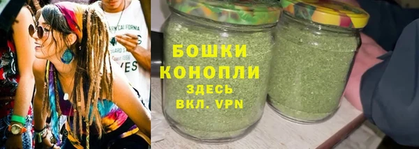 гидра Бородино