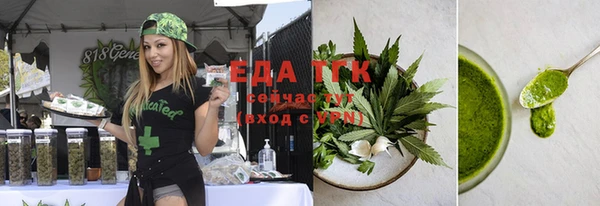 гидра Бородино