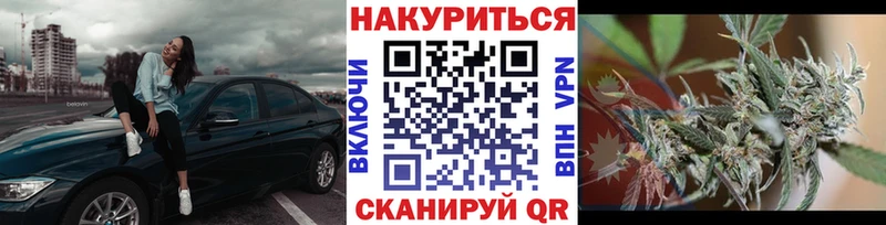 Канабис семена Ковдор